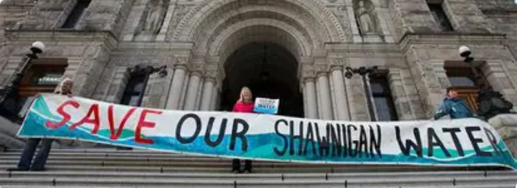 Save Our Shawnigan Water banner